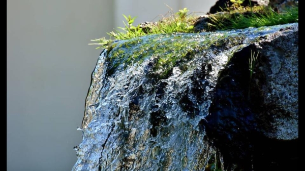 Vernetzungstreffen im Eigenthal zum Weltwassertag am 22. März