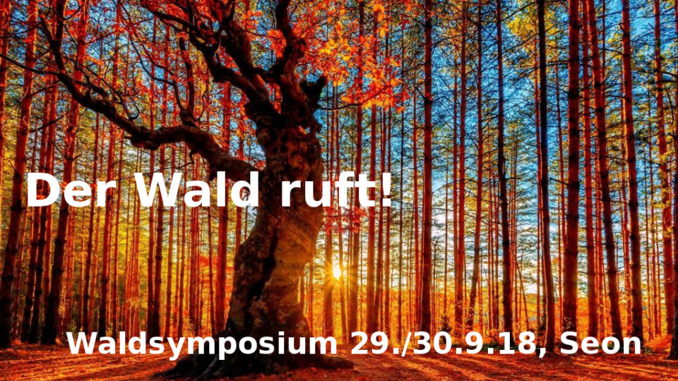 Waldsymposium 2018 von prokarma, 29. September